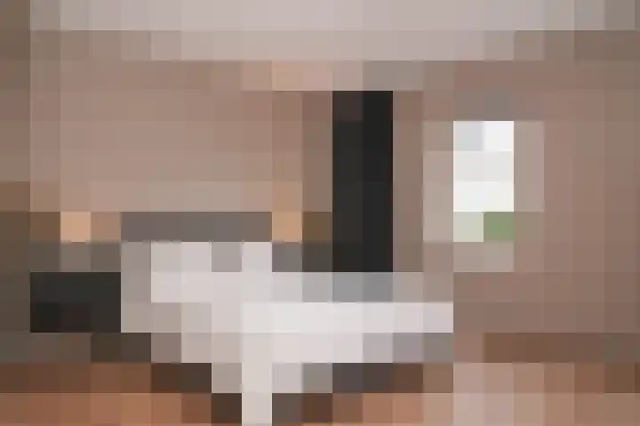J W Stamstraat 8 Kesteren thumbnail 17