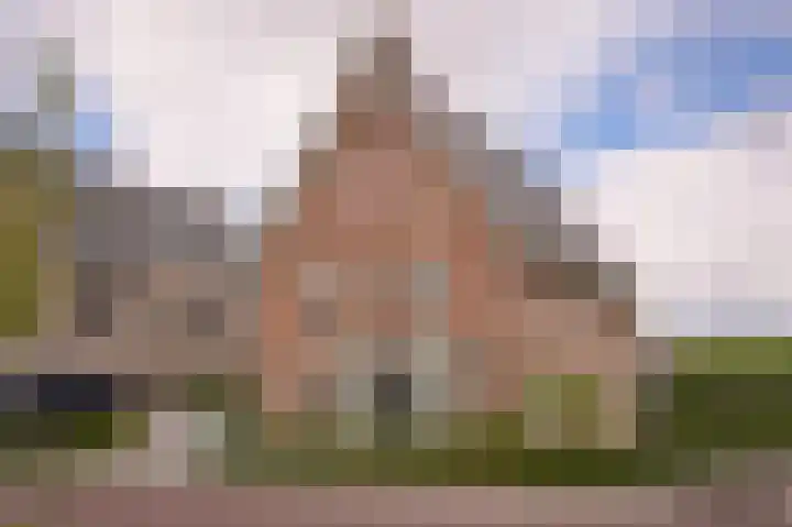 J W Stamstraat 8 Kesteren thumbnail 49
