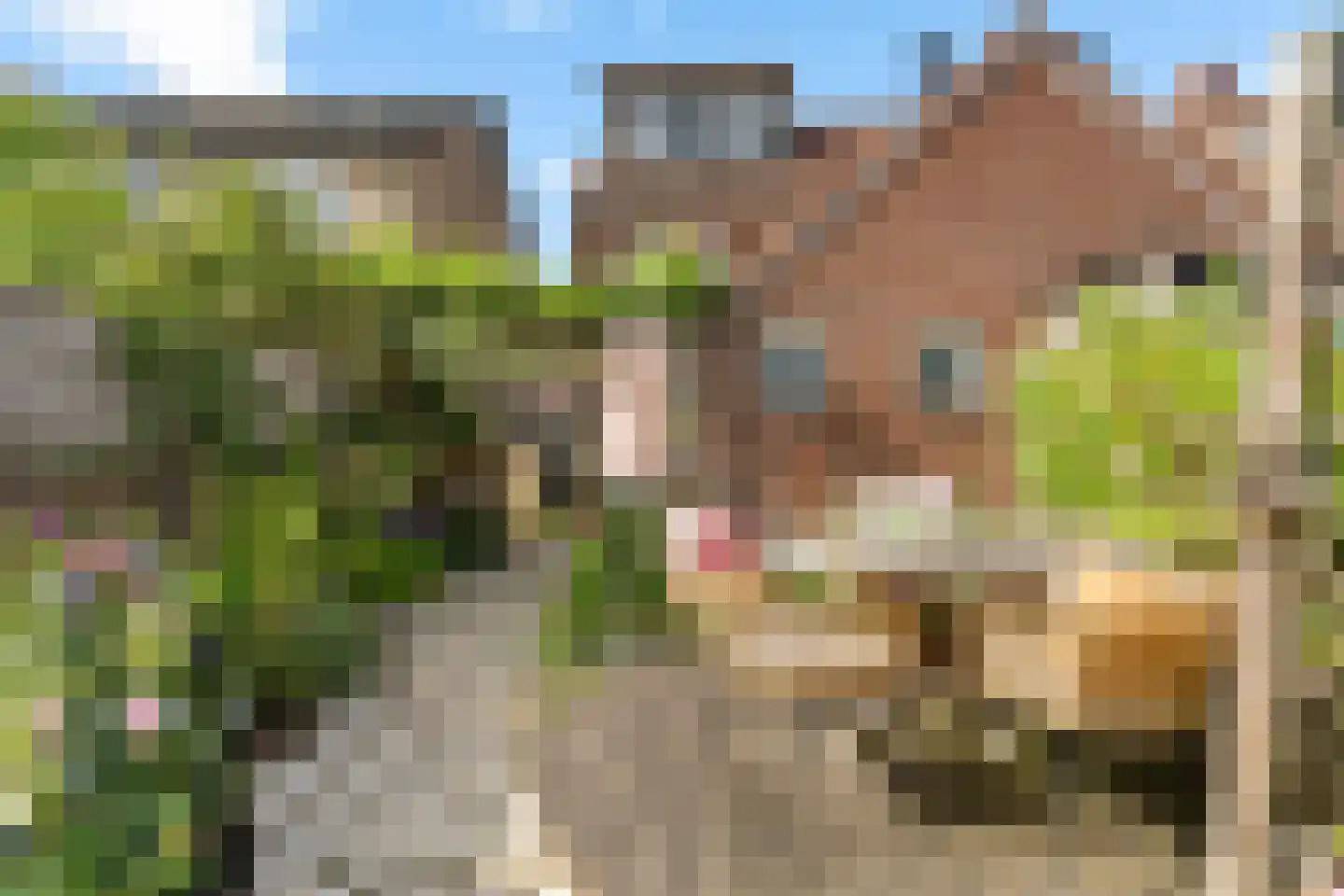 J.W. Swiersstraat 6 Enschede thumbnail 35