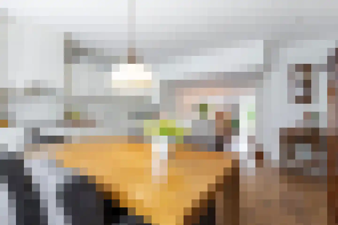 J.W. van Puttestraat 16 Ameide thumbnail 10