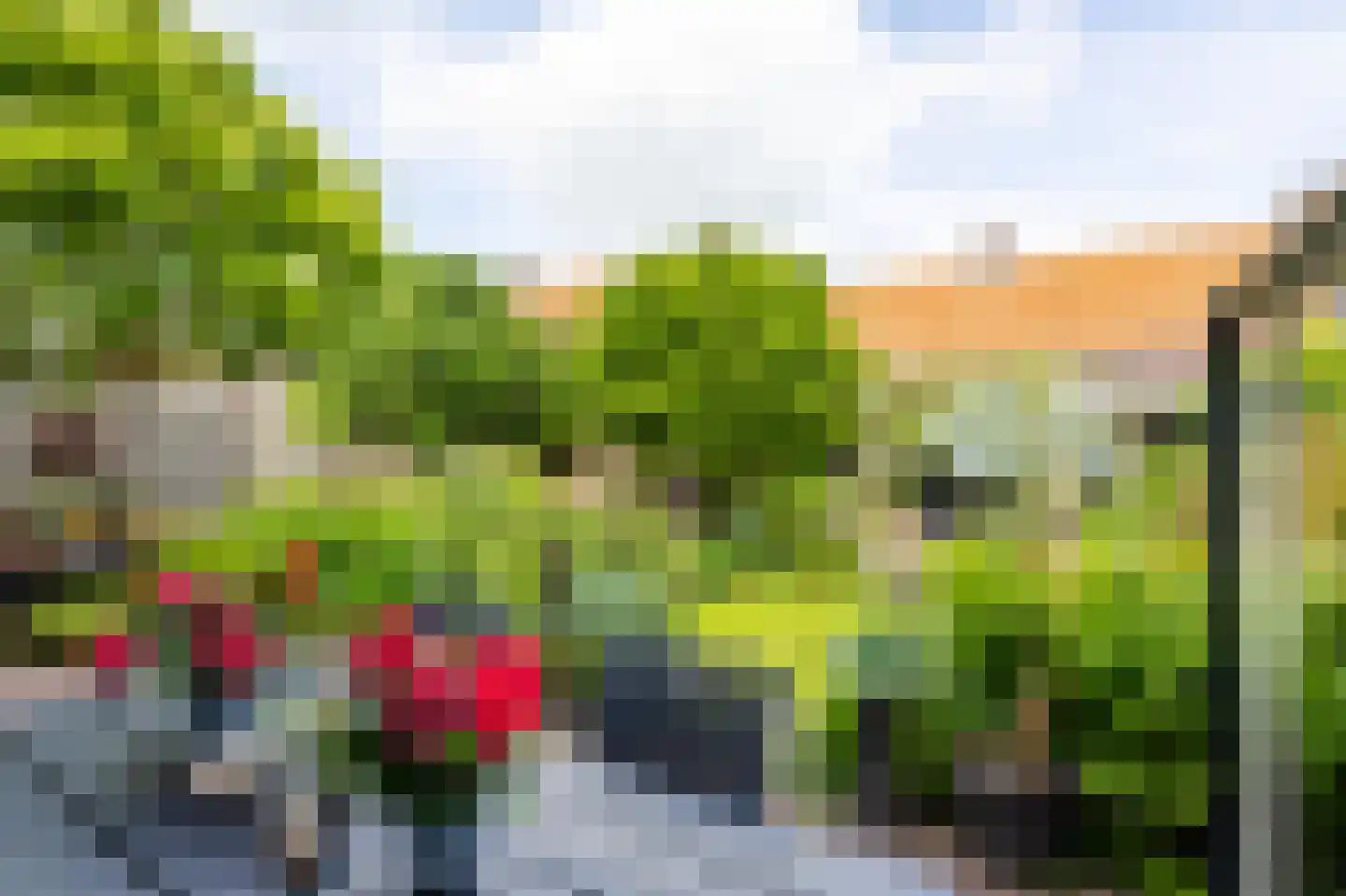 J.W. van Puttestraat 16 Ameide thumbnail 26