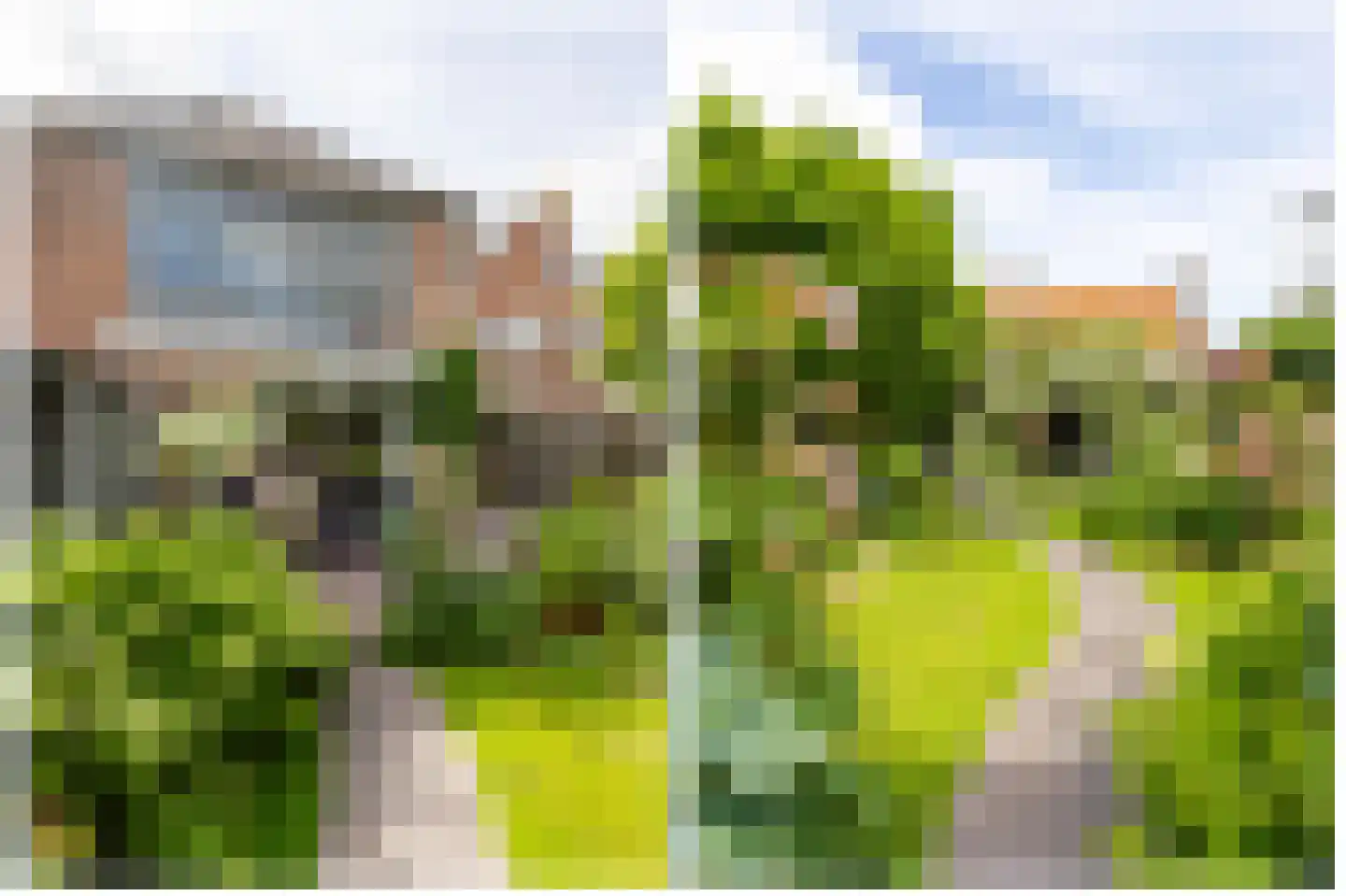 J.W. van Puttestraat 16 Ameide thumbnail 27