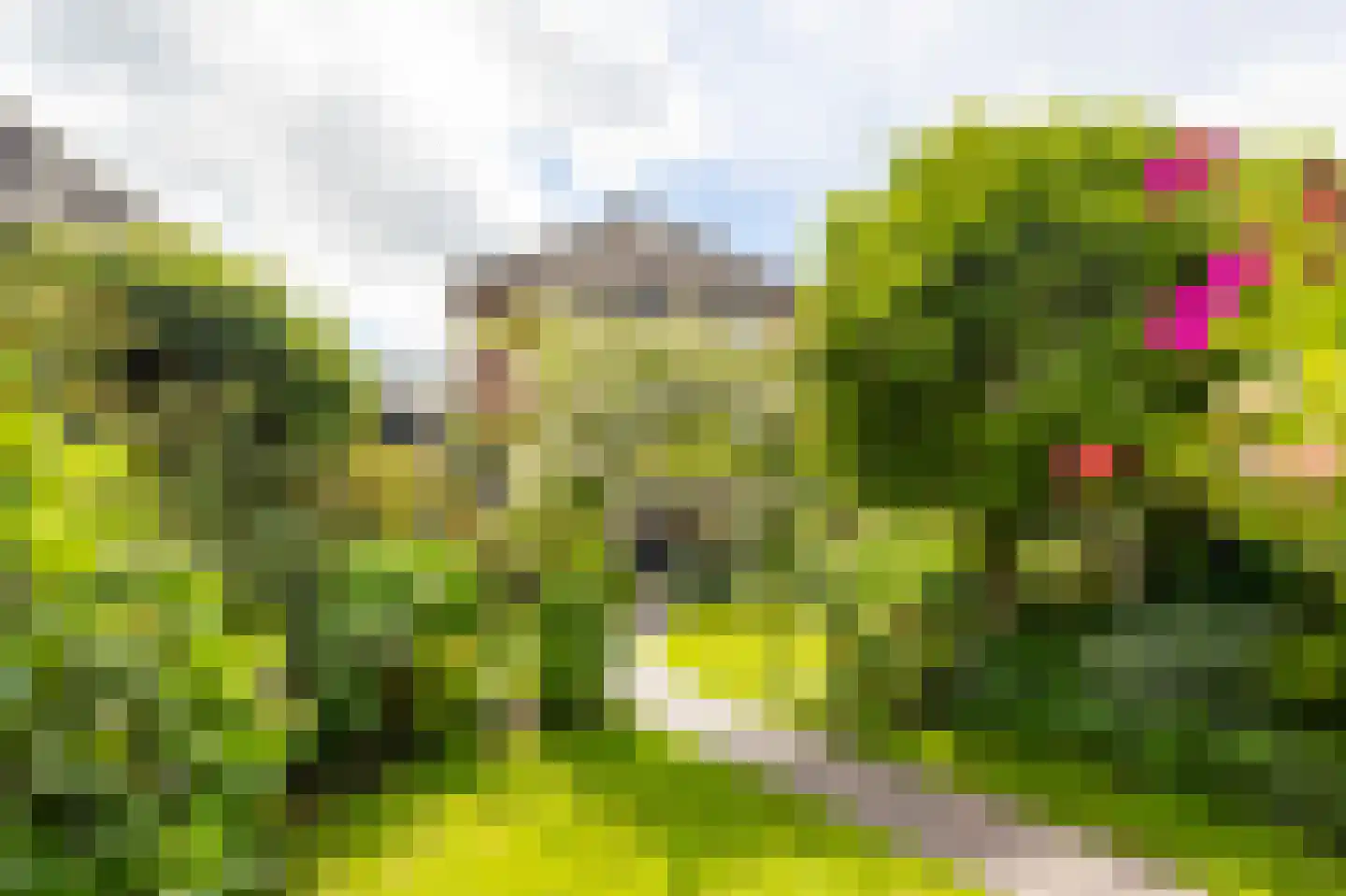 J.W. van Puttestraat 16 Ameide thumbnail 28