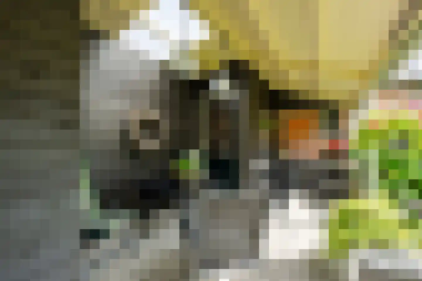 J.W. van Puttestraat 16 Ameide thumbnail 30