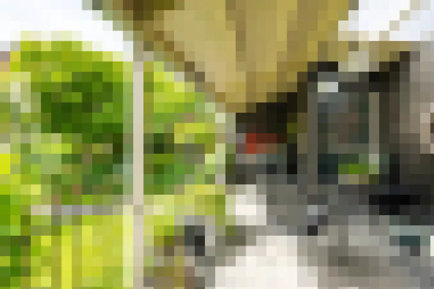 J.W. van Puttestraat 16 Ameide thumbnail 31