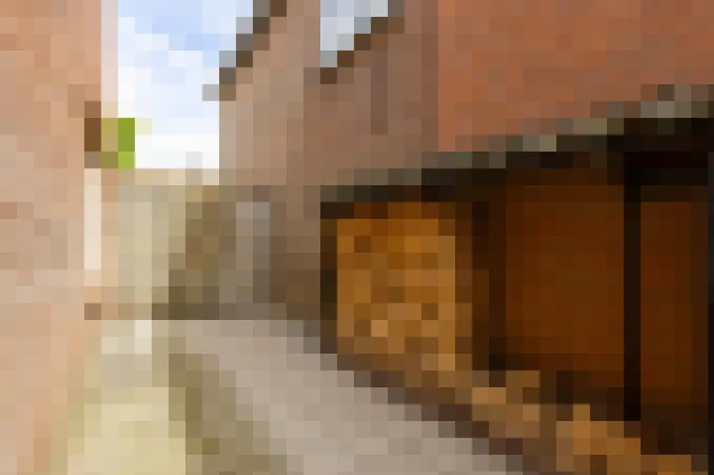 J.W. van Puttestraat 16 Ameide thumbnail 34