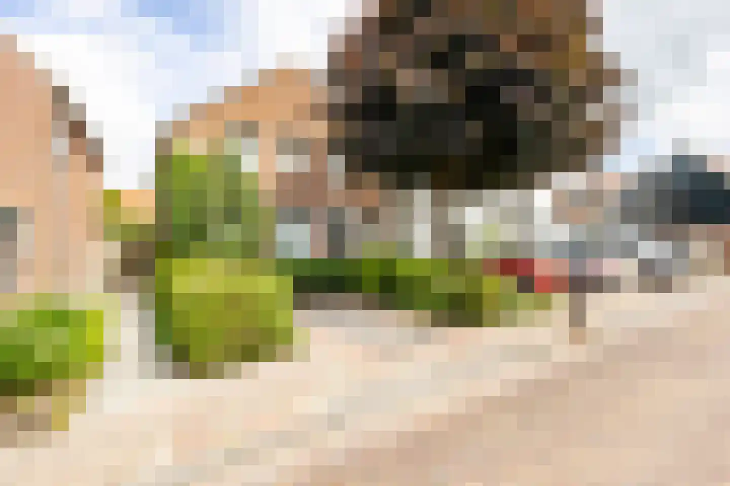 J.W. van Puttestraat 16 Ameide thumbnail 35