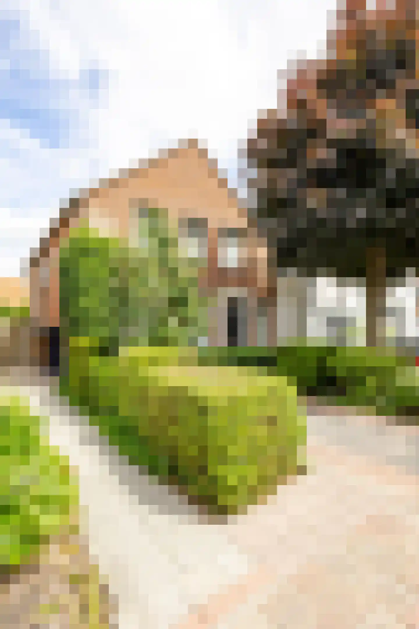 J.W. van Puttestraat 16 Ameide thumbnail 37