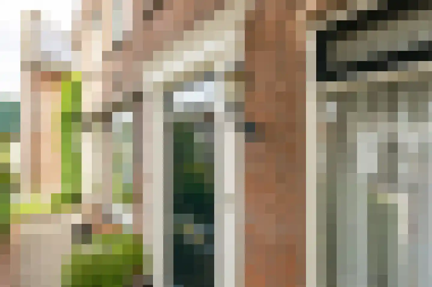 J.W. van Puttestraat 16 Ameide thumbnail 38