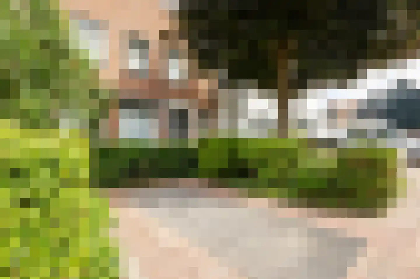 J.W. van Puttestraat 16 Ameide thumbnail 39