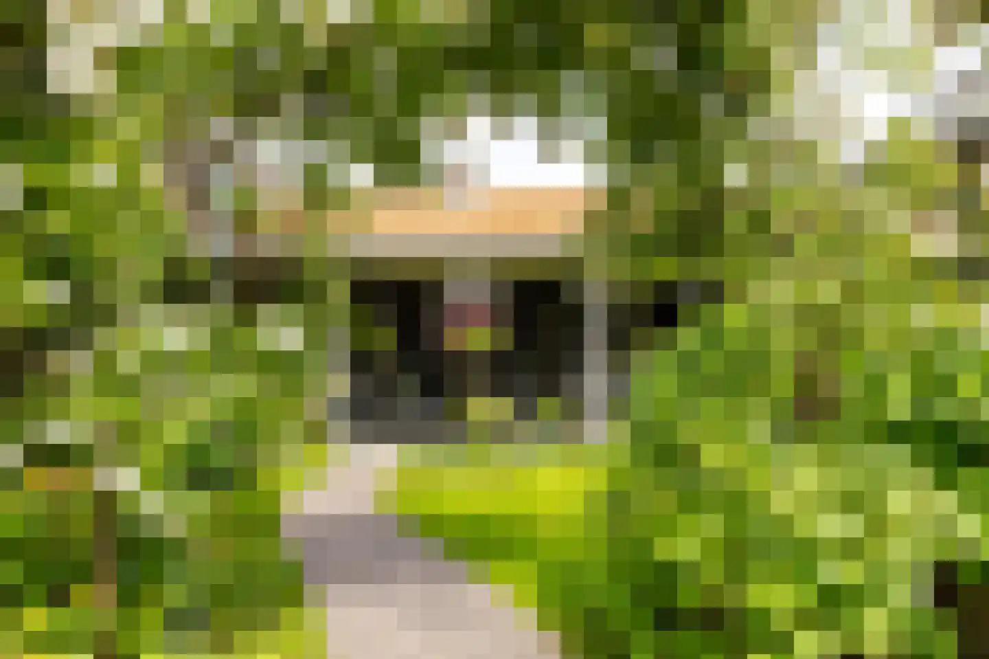 J.W. van Puttestraat 16 Ameide thumbnail 5