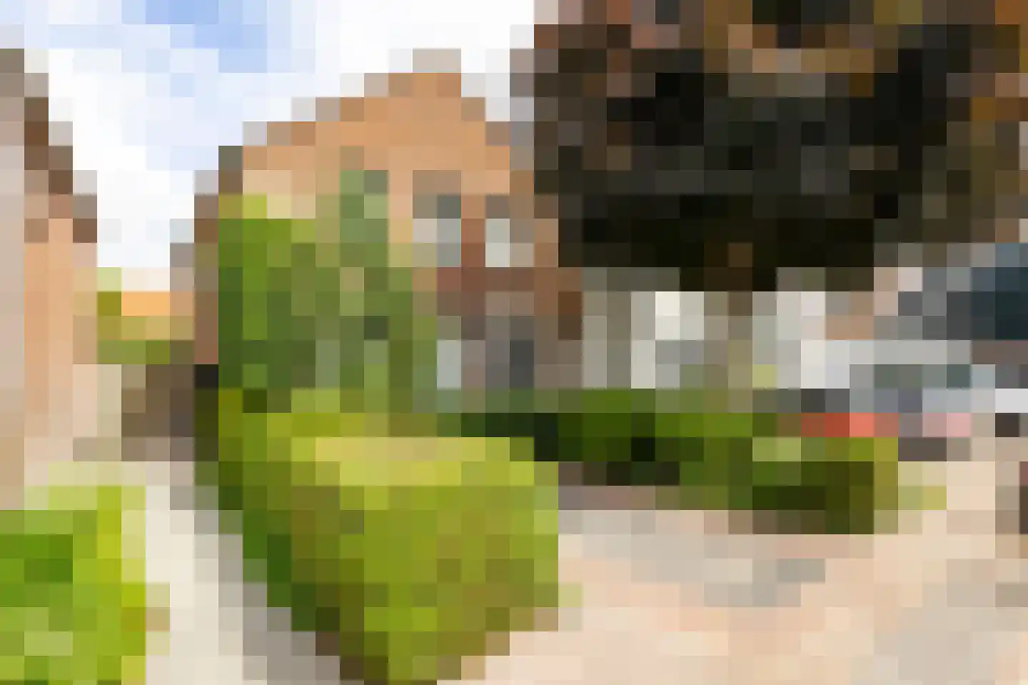 J.W. van Puttestraat 16 Ameide thumbnail 7