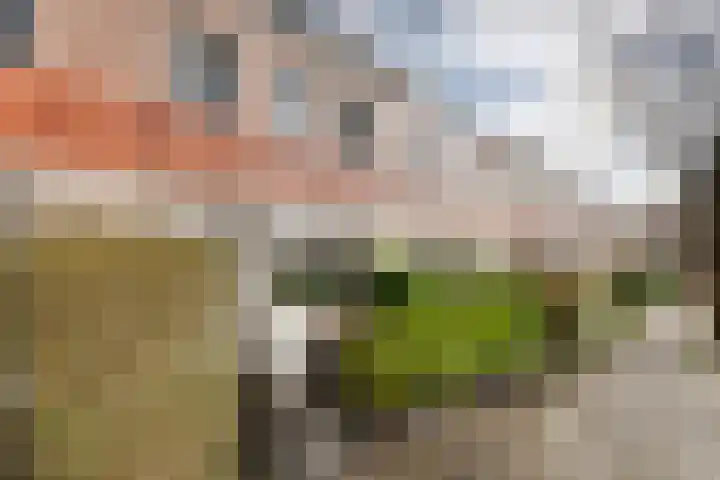 J. Wagenaarstraat 17 Groningen thumbnail 7
