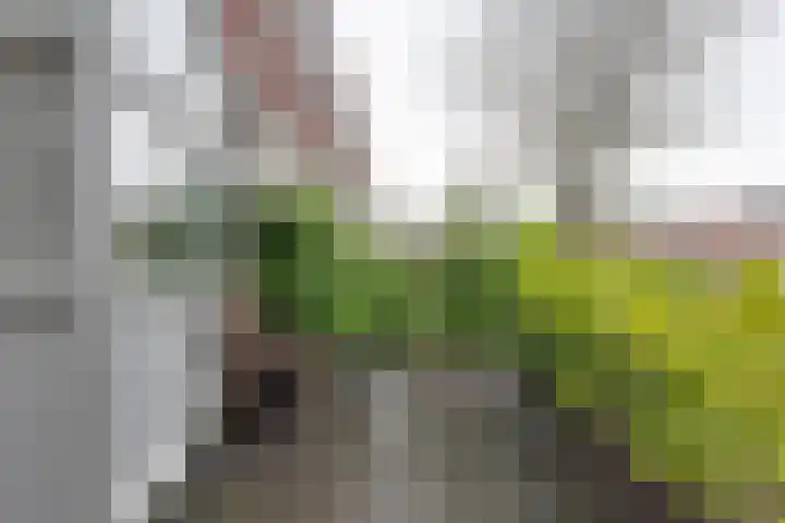 J. Wagenaarstraat 17 Groningen thumbnail 8