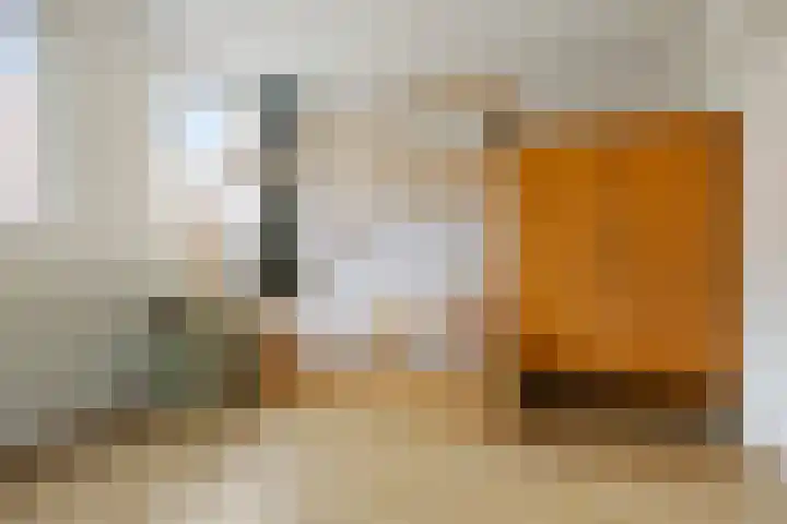 J. Wagenaarstraat 27 Groningen thumbnail 33