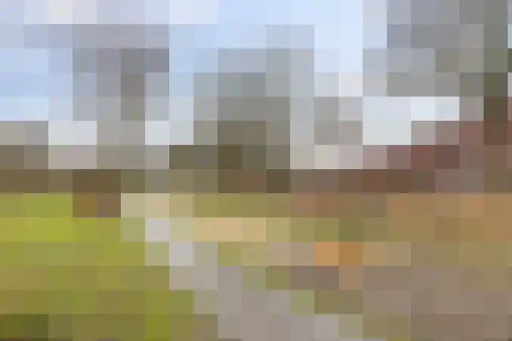J. Wagenaarstraat 27 Groningen thumbnail 43