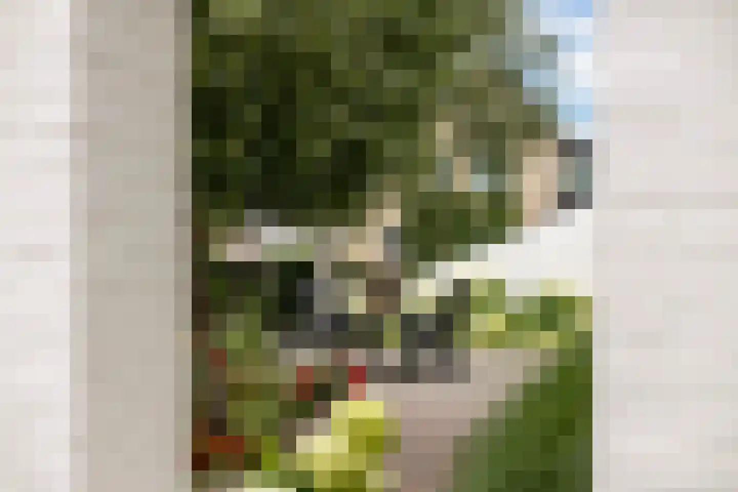 J. Wiemersstraat 5 Dokkum thumbnail 41