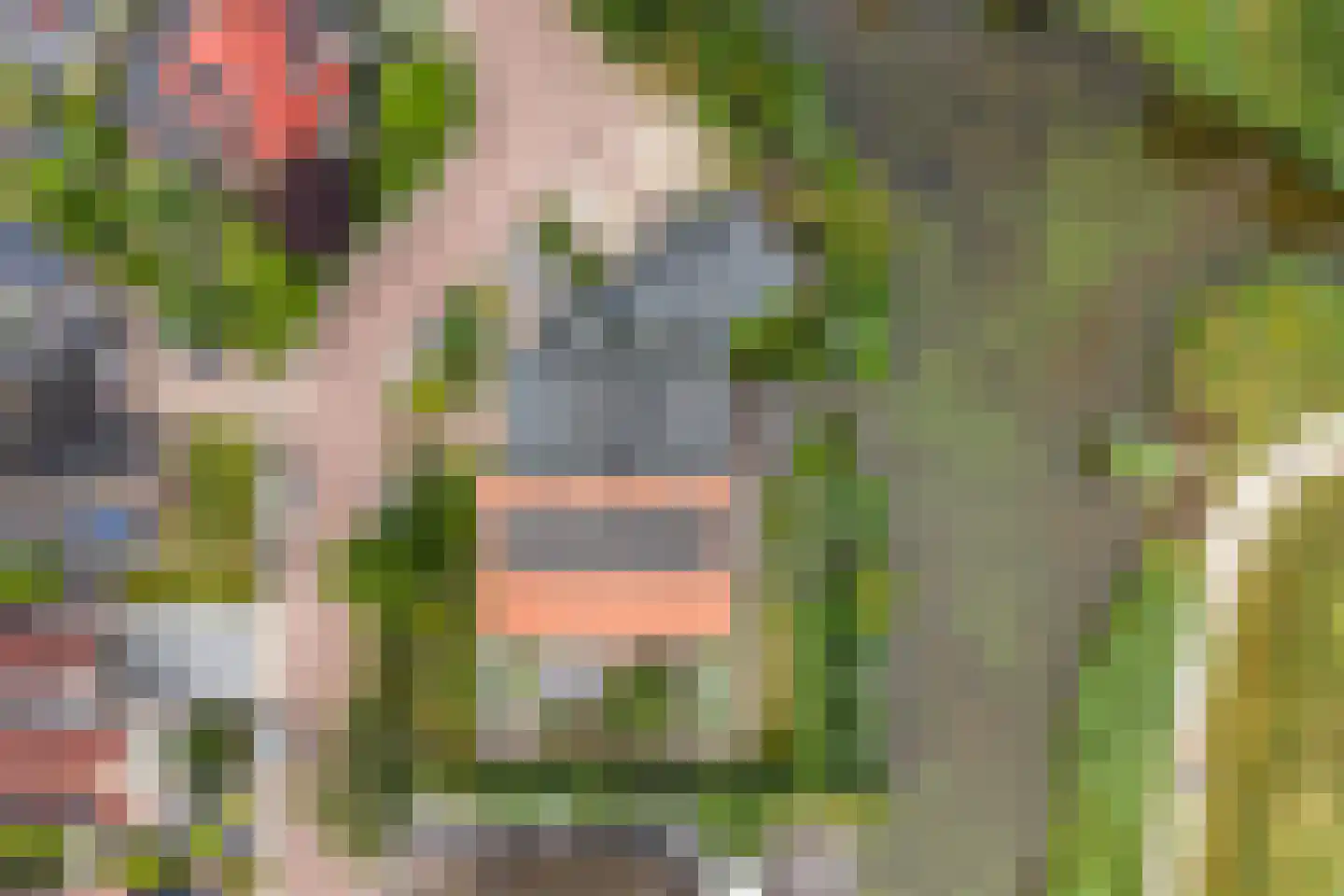 J. Wiemersstraat 5 Dokkum thumbnail 5
