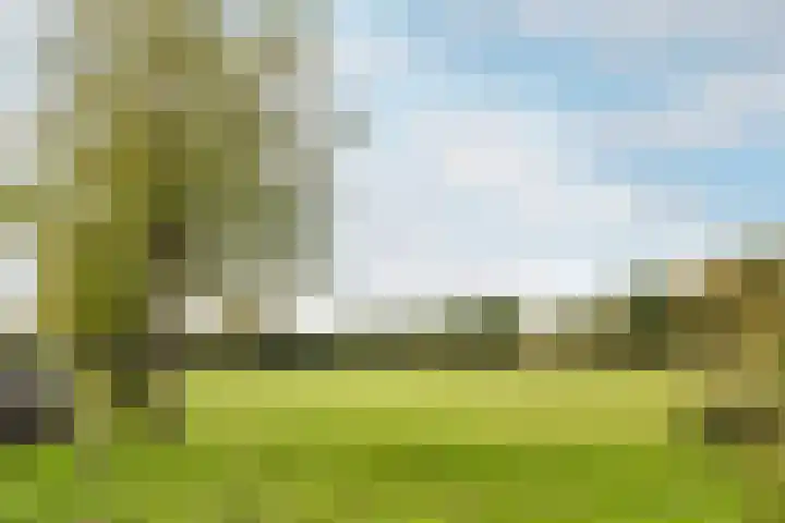 J. Wilsstraat 1 Almere thumbnail 31