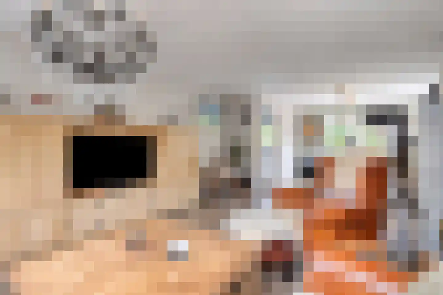 Jaagband 58 Wognum thumbnail 14
