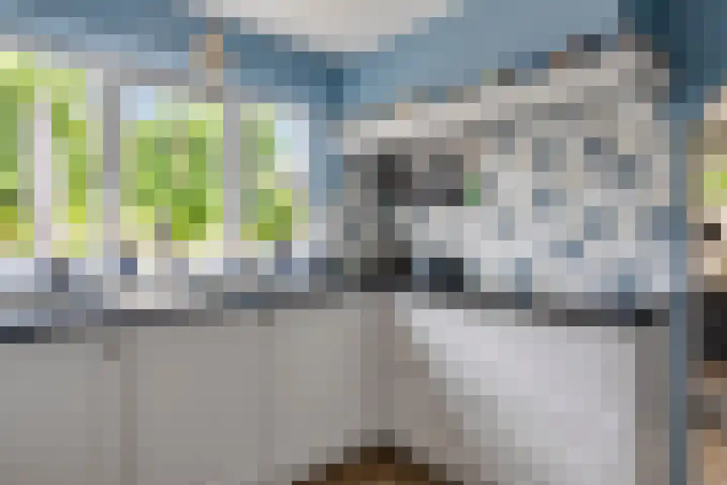 Jaagband 58 Wognum thumbnail 17