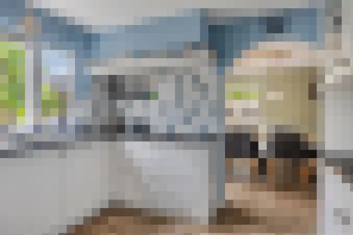 Jaagband 58 Wognum thumbnail 18
