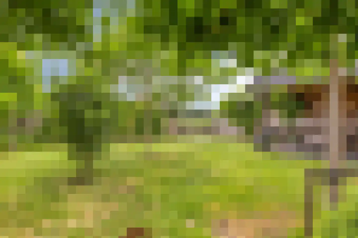 Jaagband 58 Wognum thumbnail 48