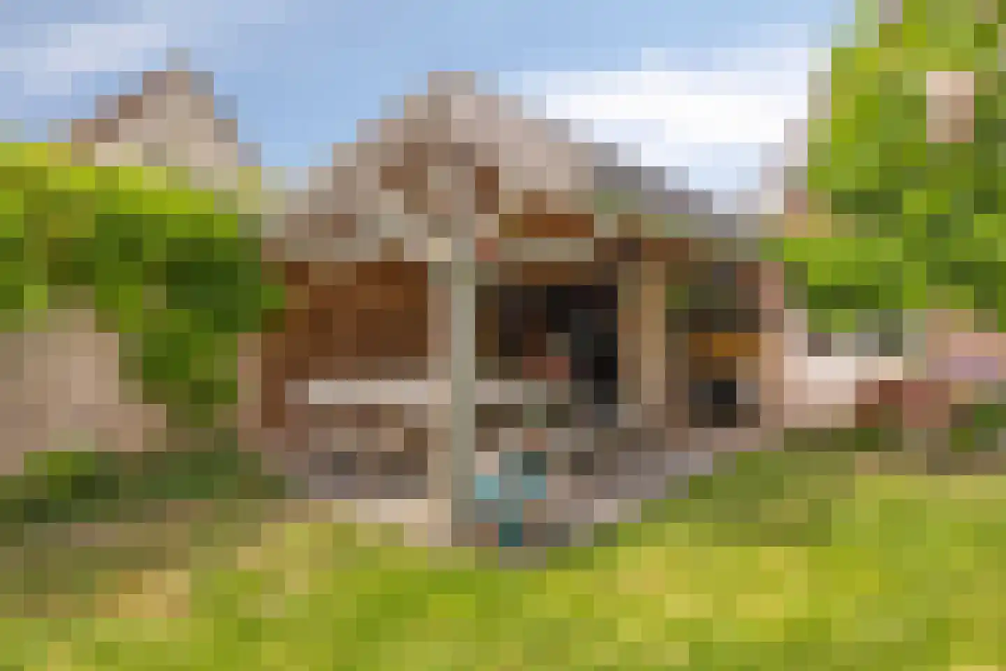 Jaagband 58 Wognum thumbnail 49