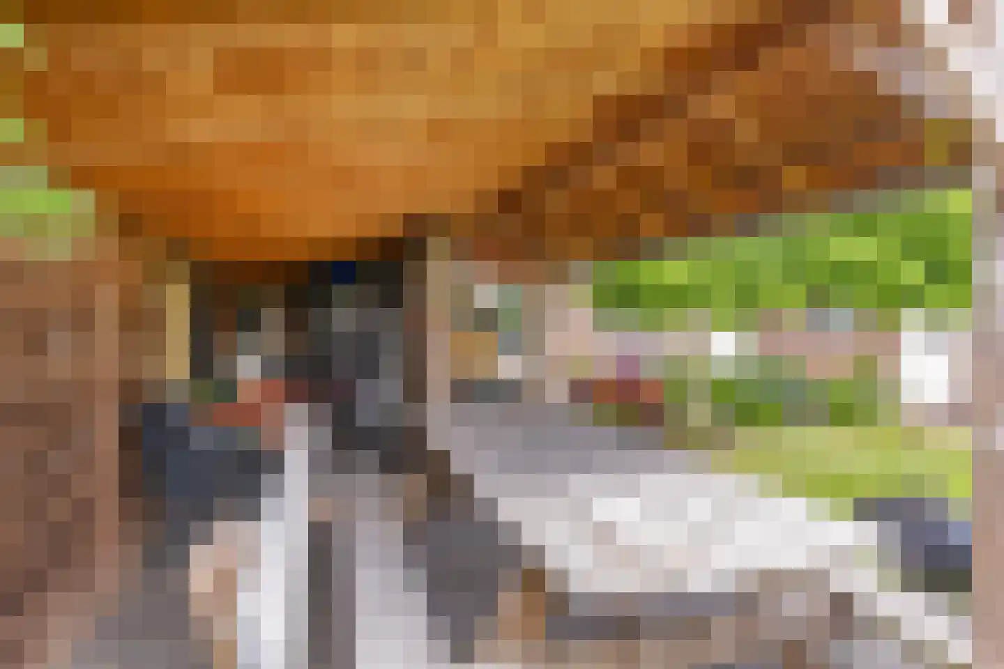 Jaagband 58 Wognum thumbnail 50