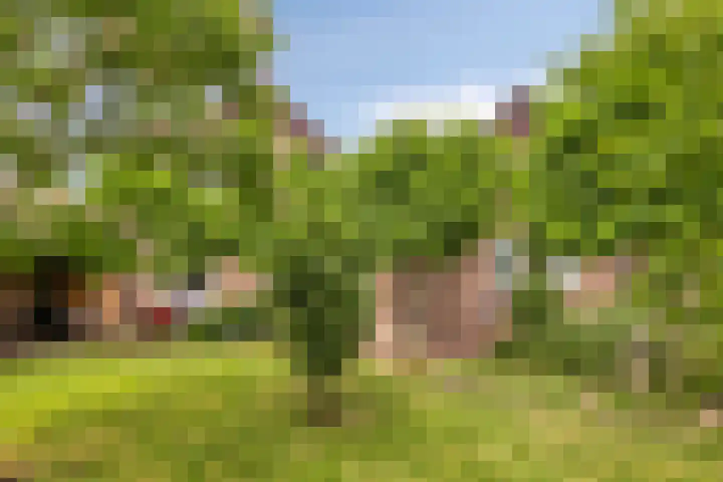 Jaagband 58 Wognum thumbnail 51