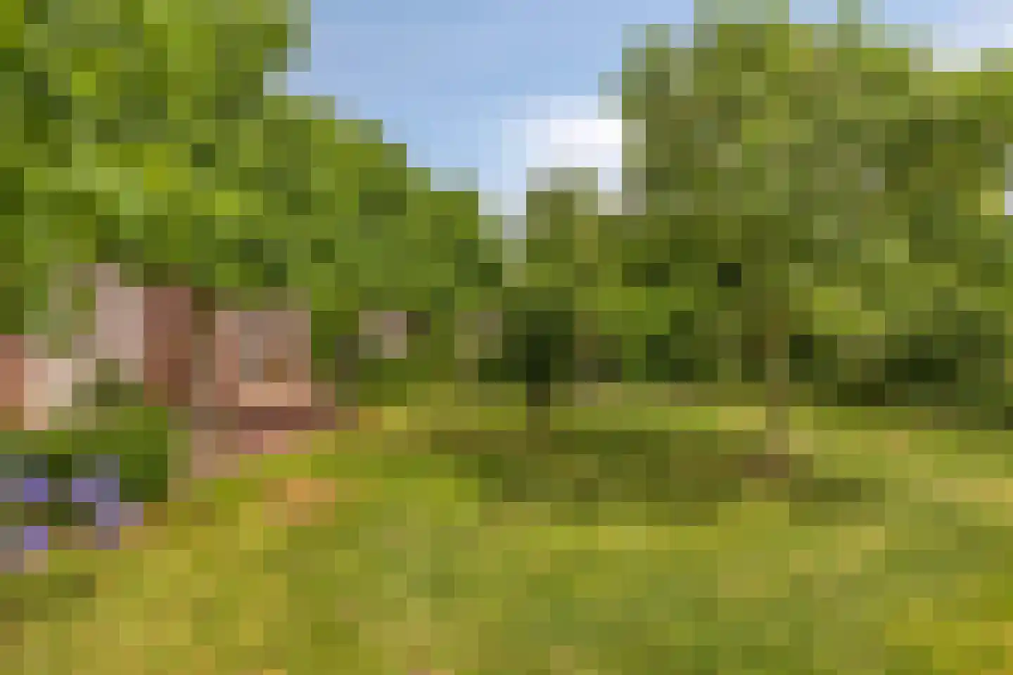 Jaagband 58 Wognum thumbnail 53