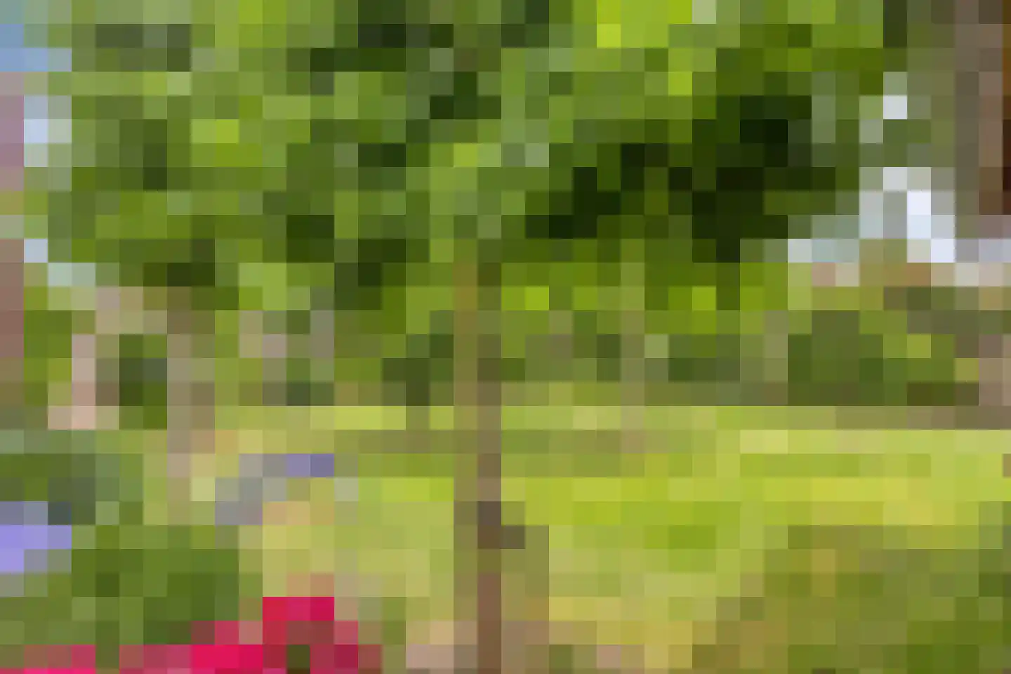 Jaagband 58 Wognum thumbnail 54