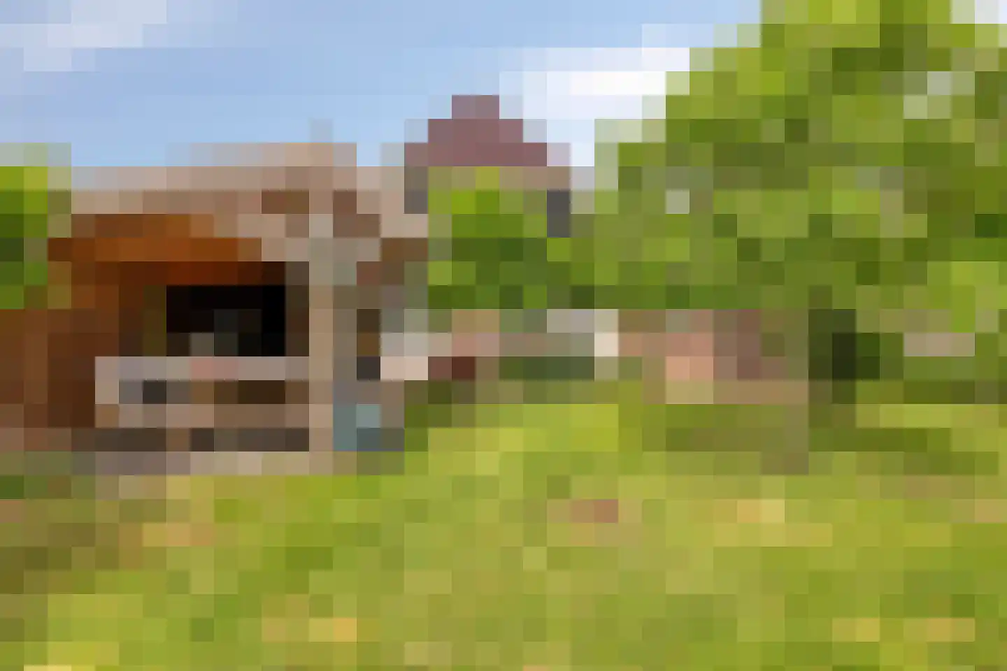 Jaagband 58 Wognum thumbnail 6