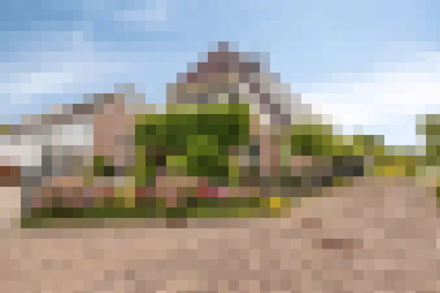 Jaagband 58 Wognum thumbnail 9