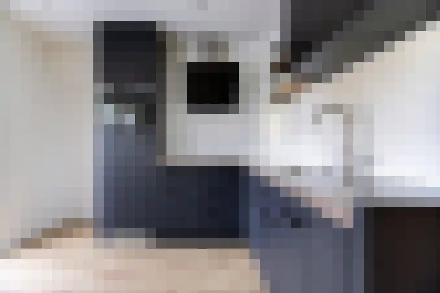 Jaagband 6 Wognum thumbnail 10