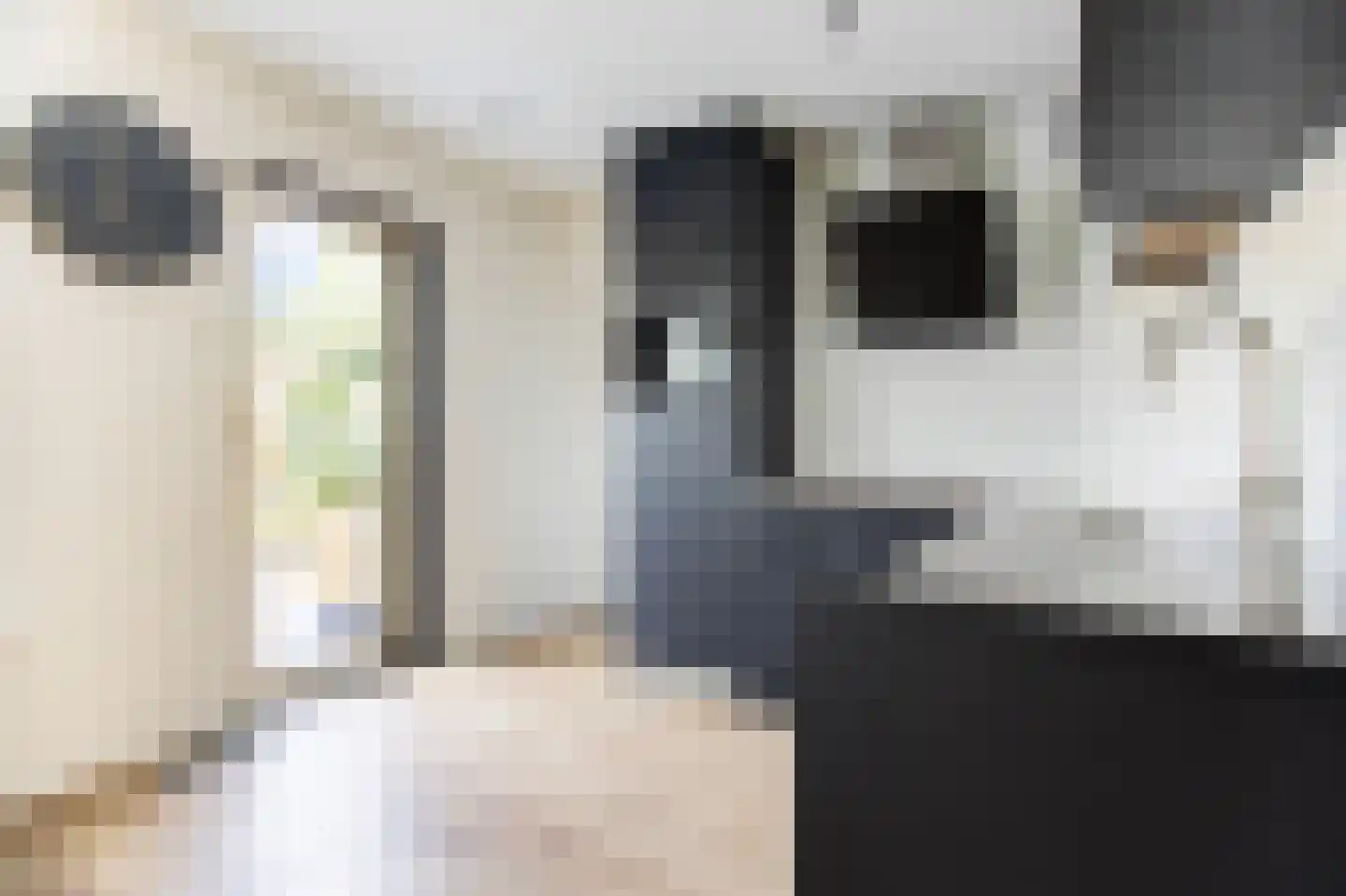 Jaagband 6 Wognum thumbnail 11