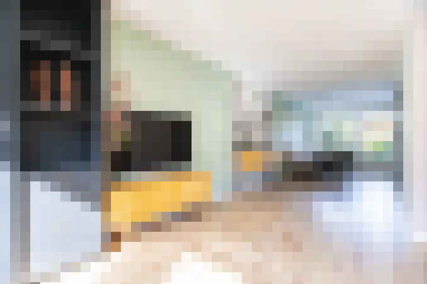 Jaagband 6 Wognum thumbnail 15