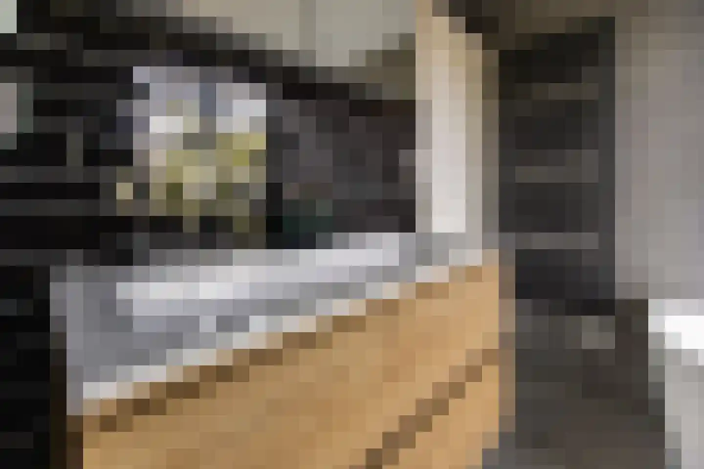 Jaagband 6 Wognum thumbnail 39