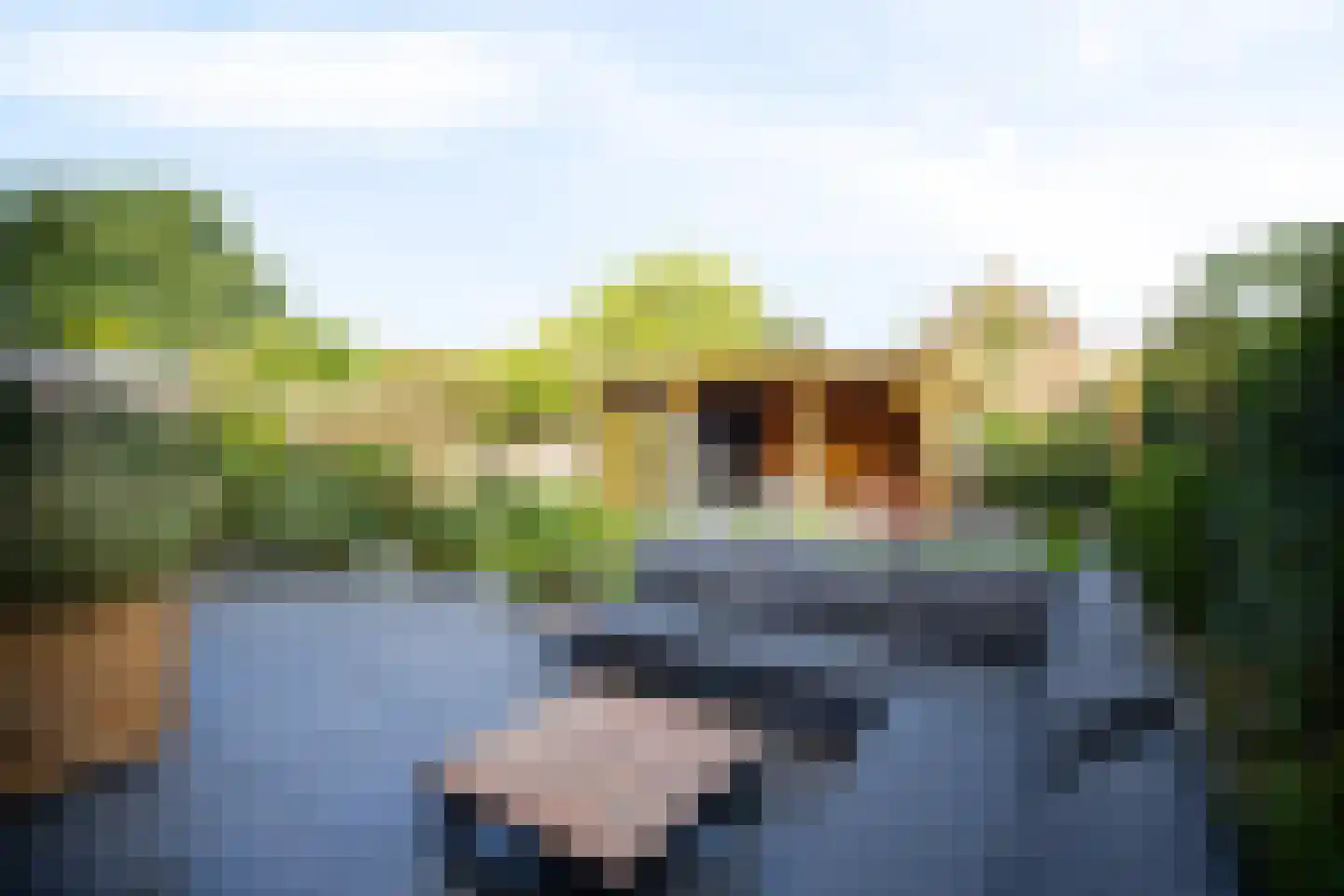 Jaagband 6 Wognum thumbnail 51