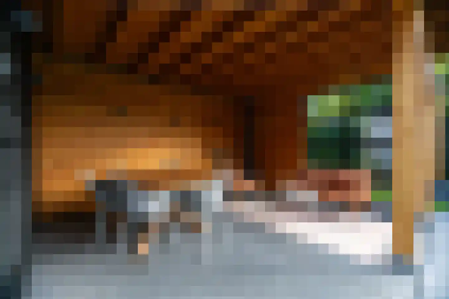 Jaagband 6 Wognum thumbnail 60