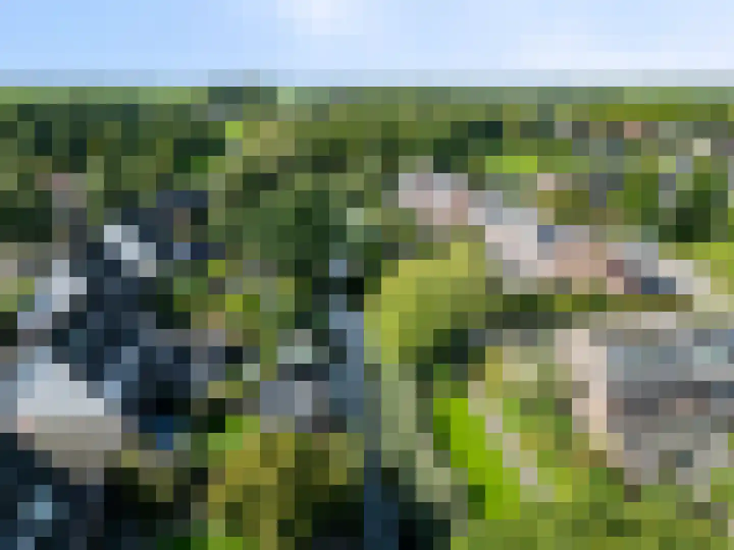 Jaagband 6 Wognum thumbnail 66