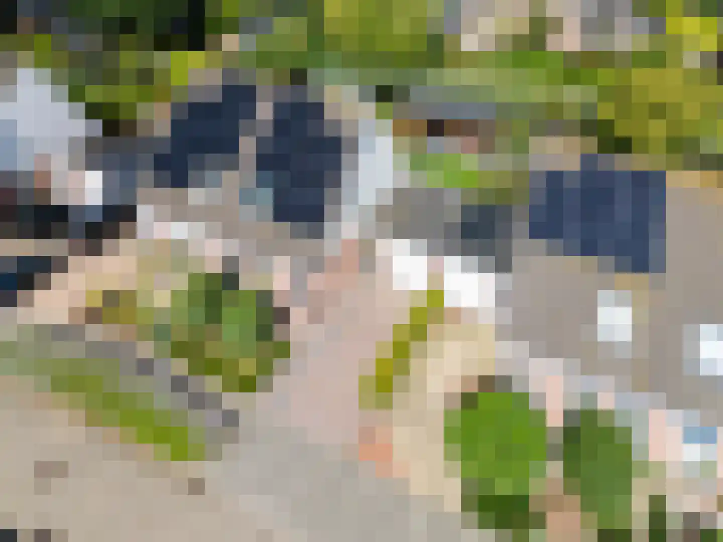 Jaagband 6 Wognum thumbnail 67