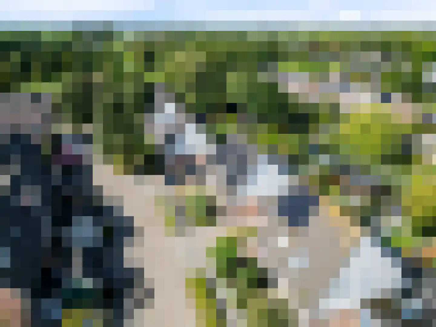 Jaagband 6 Wognum thumbnail 68