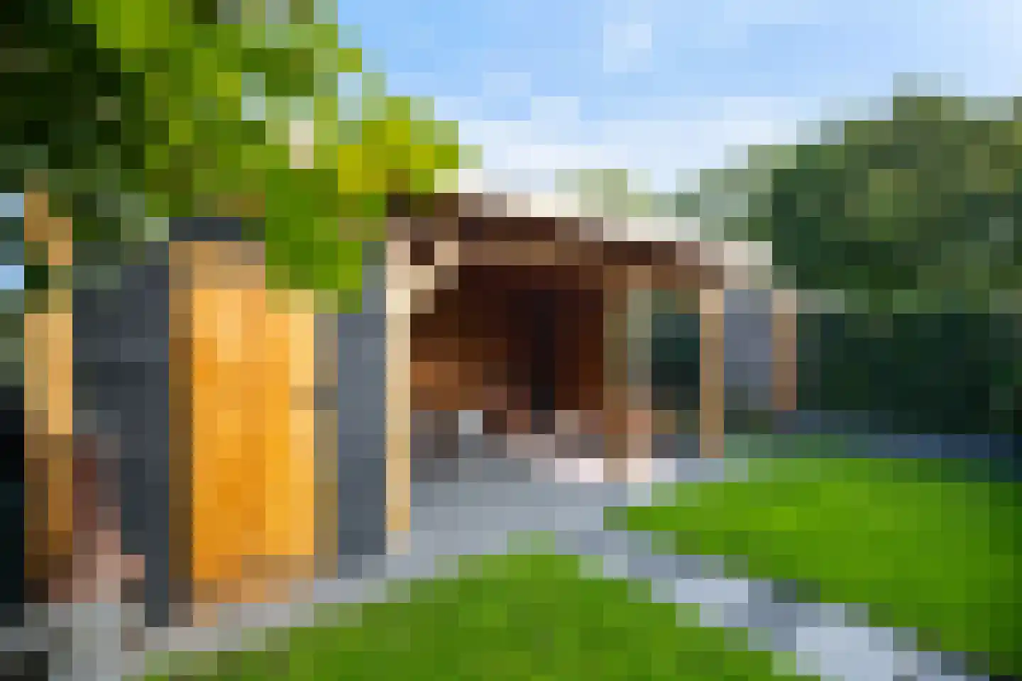 Jaagband 6 Wognum thumbnail 7