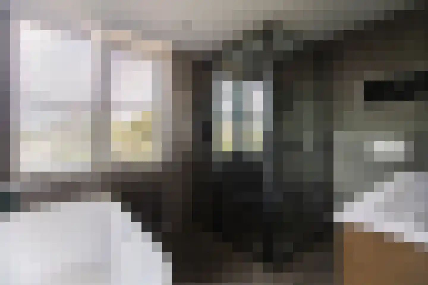 Jaagband 6 Wognum thumbnail 8