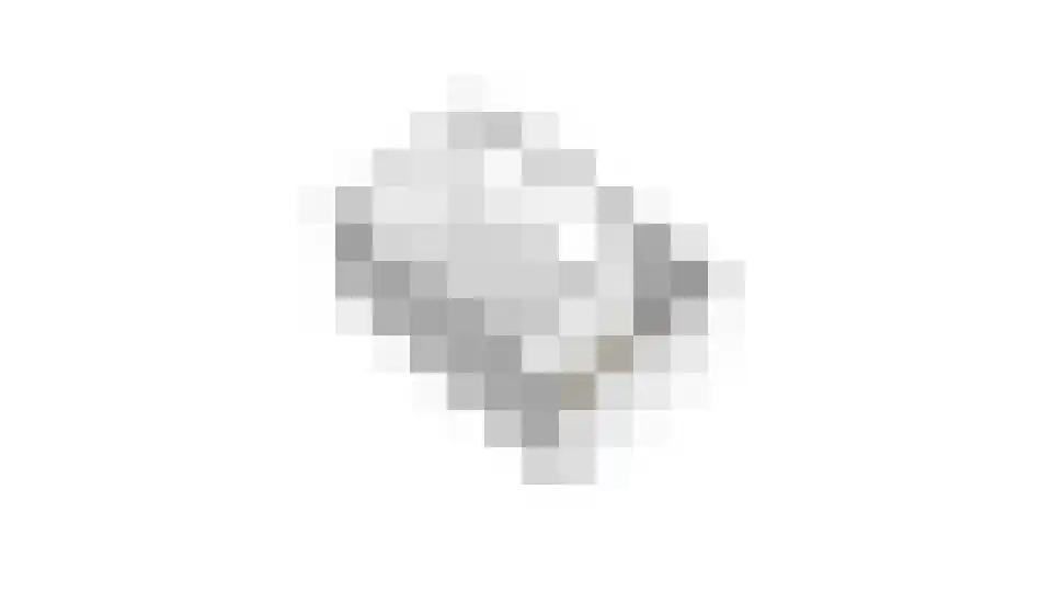 Jaagband 6 Wognum thumbnail 80