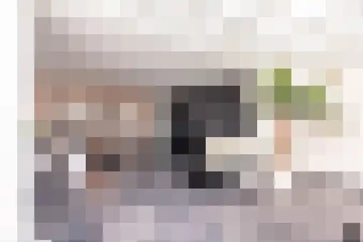 Jaagband 64 Wognum thumbnail 13
