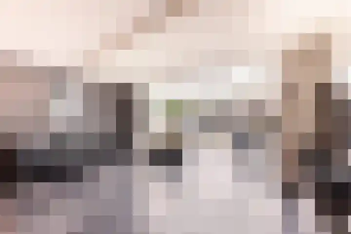 Jaagband 64 Wognum foto 2