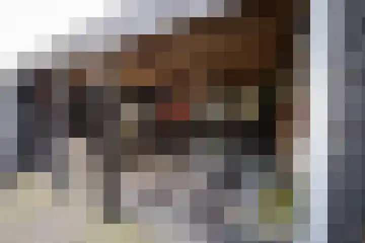 Jaagband 64 Wognum thumbnail 29