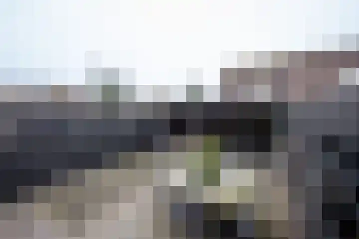 Jaagband 64 Wognum foto 3